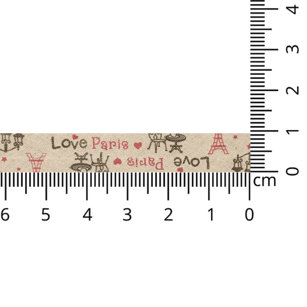 DMC Biaisband love paris - 3x3m