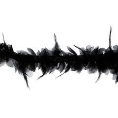 Band boa 100mm zwart - 9,2m