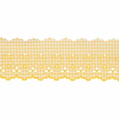 Festonspitze Farbe - 16m - 645