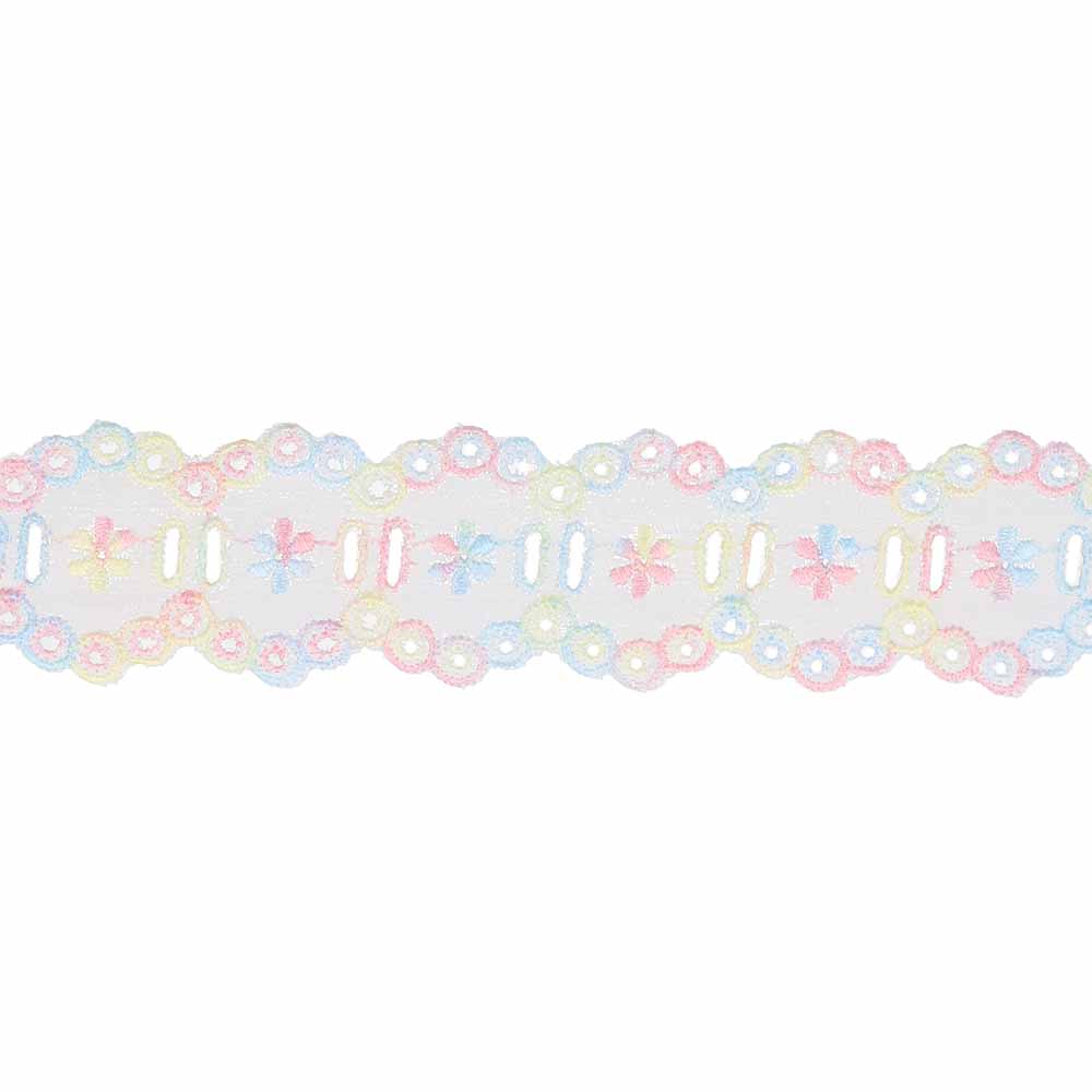 Broderie glans 40mm multi - 18,4m