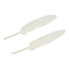 Losse veren 11-15cm - 5x20st